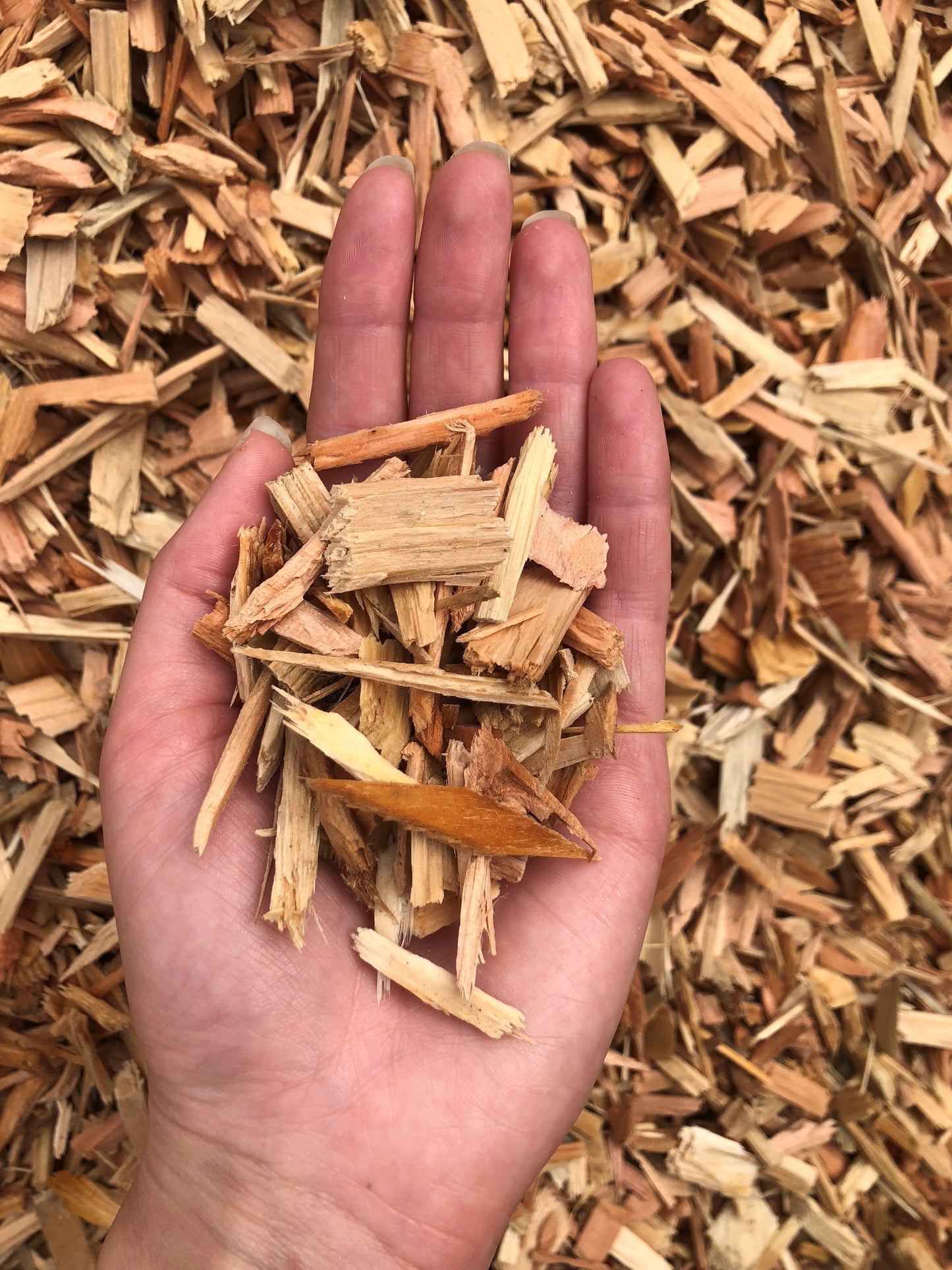 Playground Woodchips