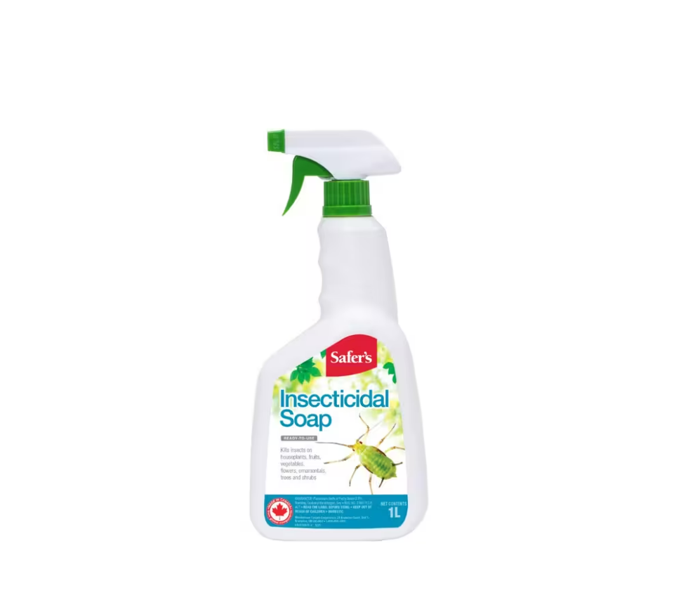 insecticidal soap for vegetables SAFER'S Insecticidal Soap – GroundWorks Supply