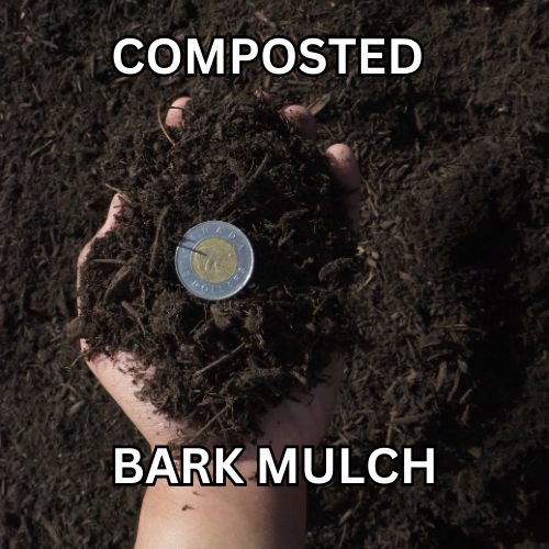 Bark Mulch 3/8 inch minus (Composted)