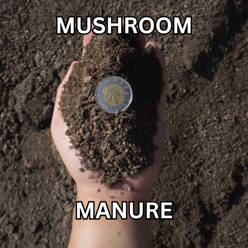 Mushroom Manure