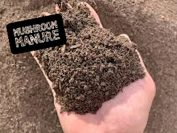 Mushroom Manure