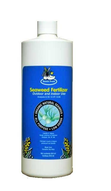 Dutch treat Seaweed Fertilizer